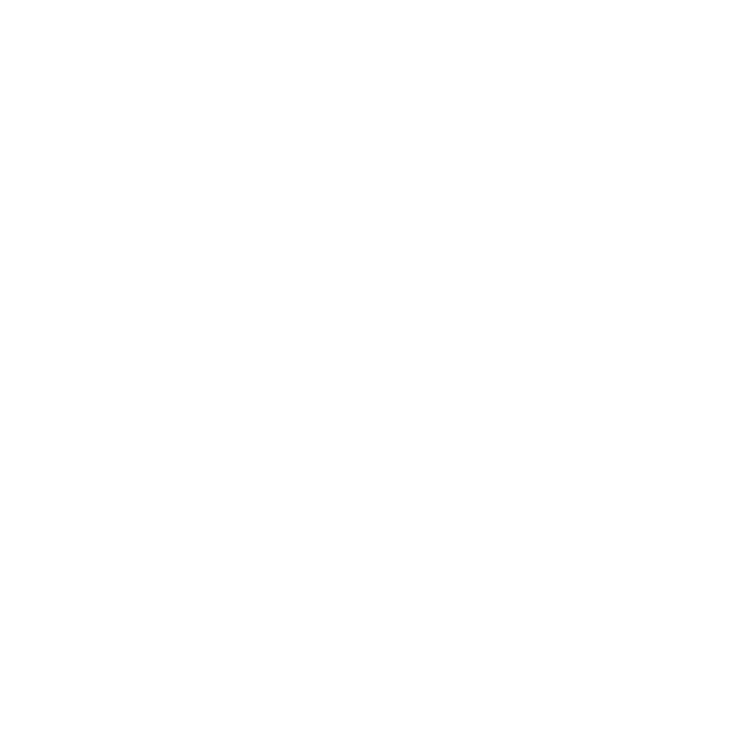 Texas Instruments