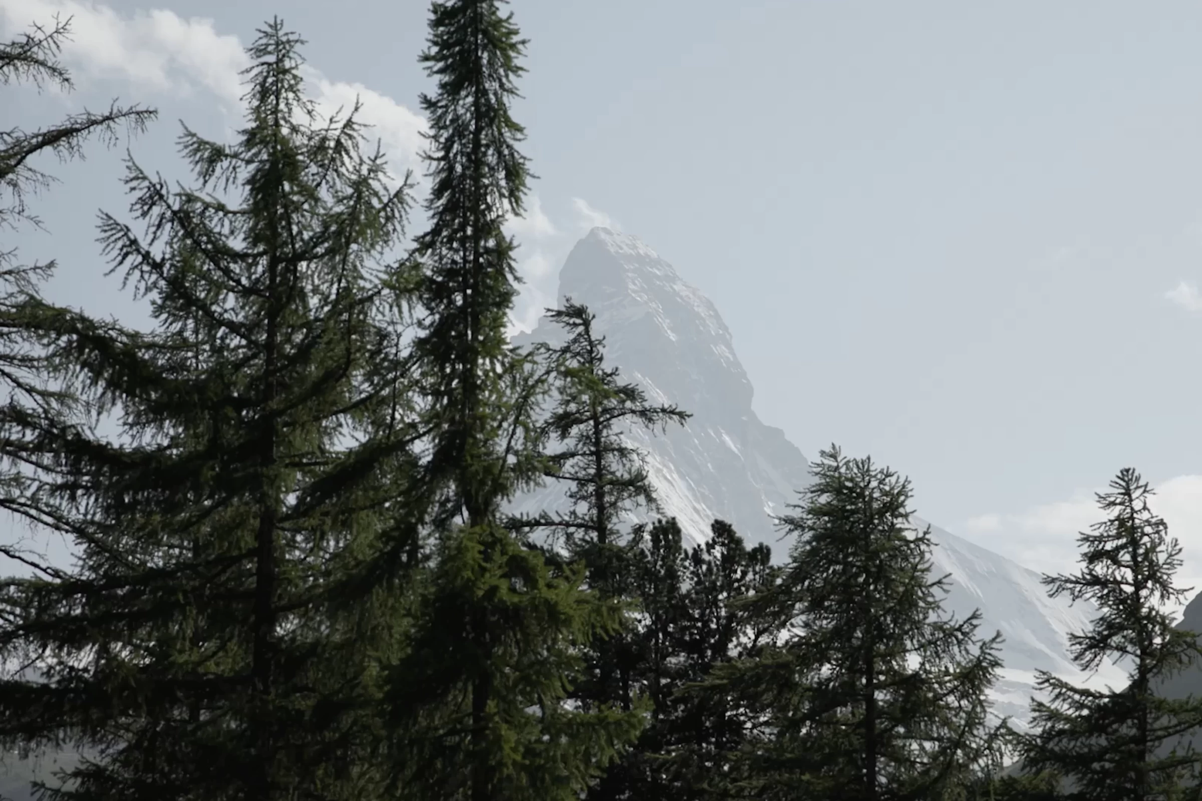 Cervo Mountain Resort gallery 2