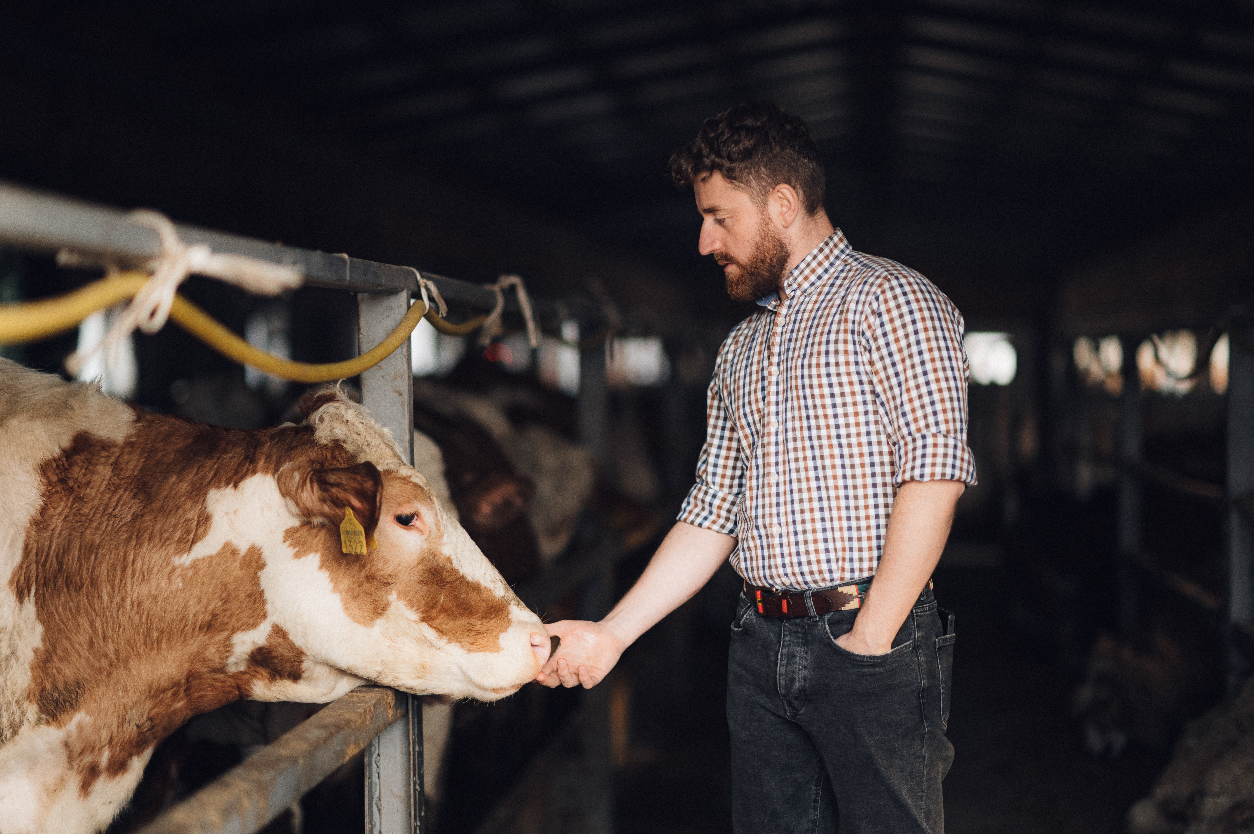 Webinar with organic farmer from Romania