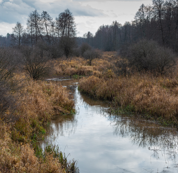Improving water resilience in the EU
