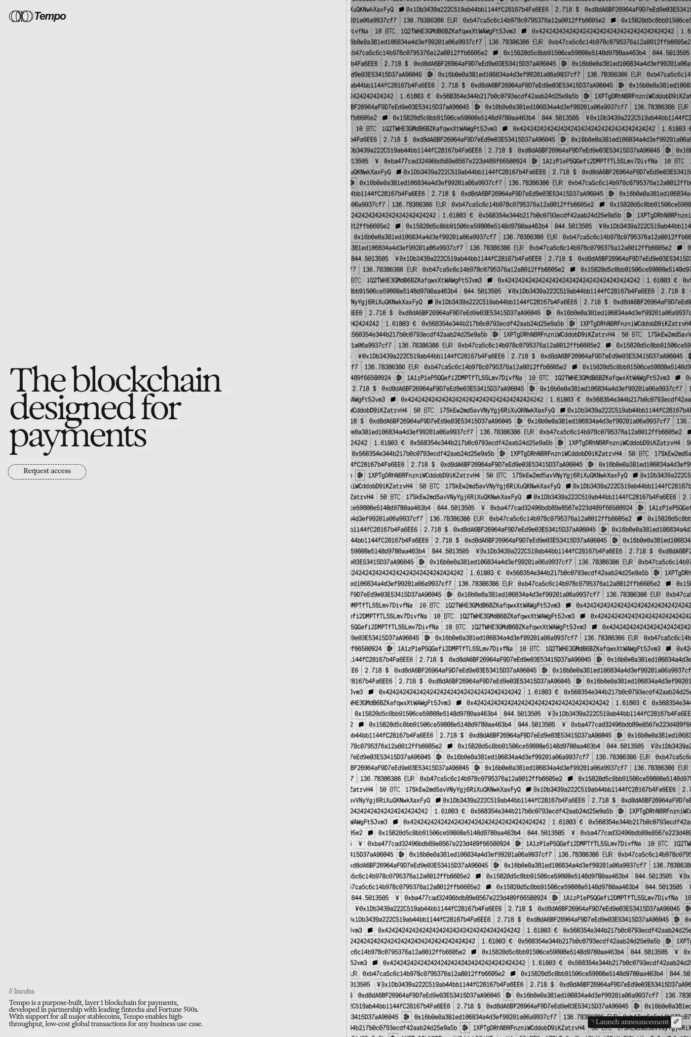 Tempo website screenshot