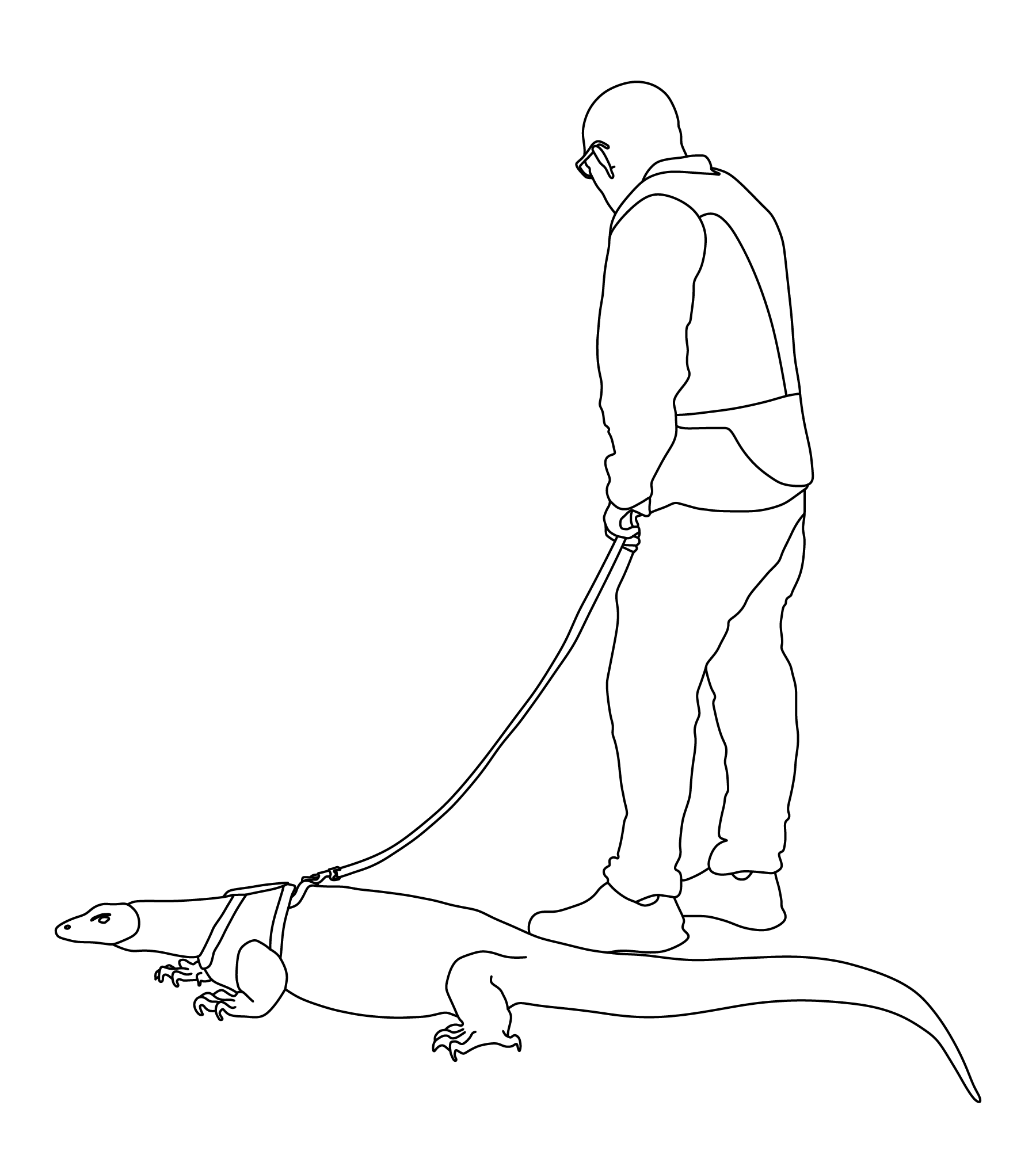 man walking his pet lizard on the sidewalk