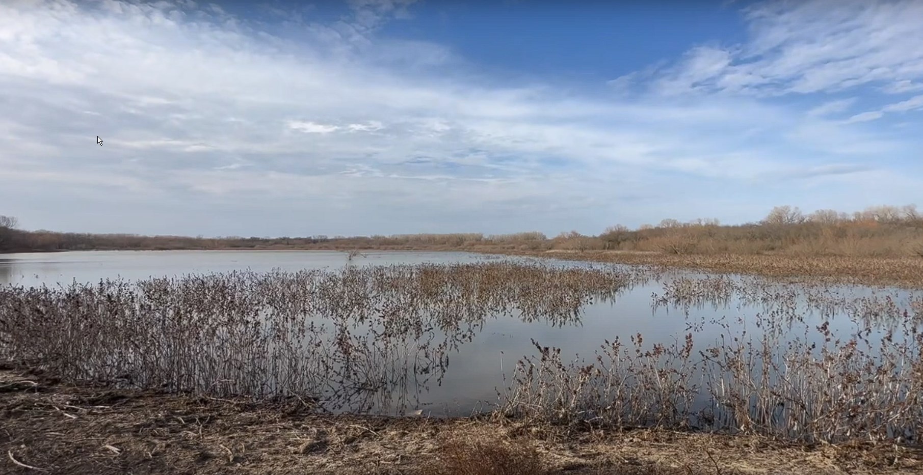 Marshland in the Clear Creek Natural Heritage Center Denton, TX