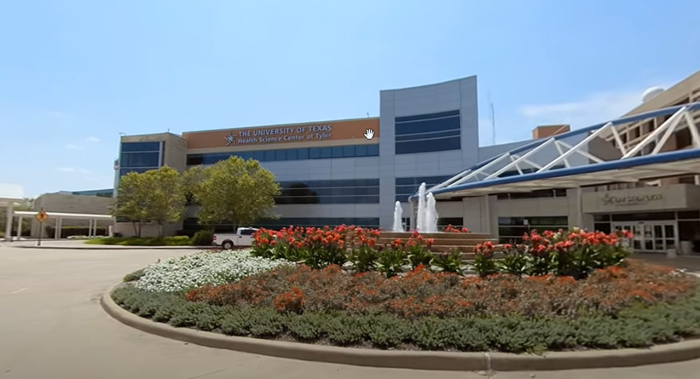 Education in Tyler TX: Nurturing Minds, Shaping Futures