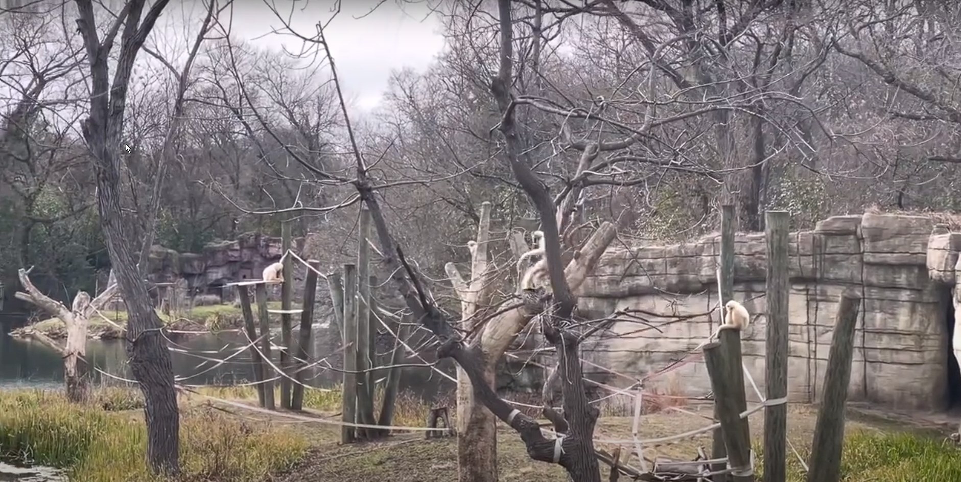 Habitat at the Cameron Park Zoo in Waco, TX