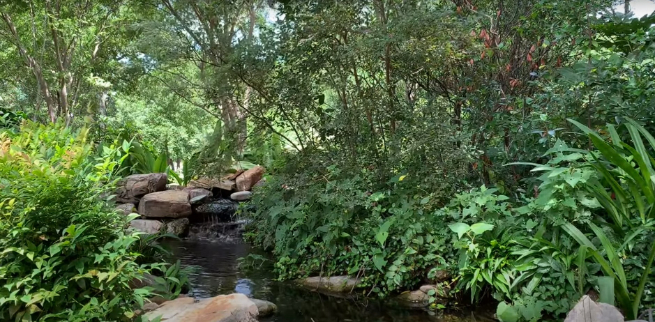 Waterfall with plants at the Grapevine Botanical Garden in Grapevine, TX