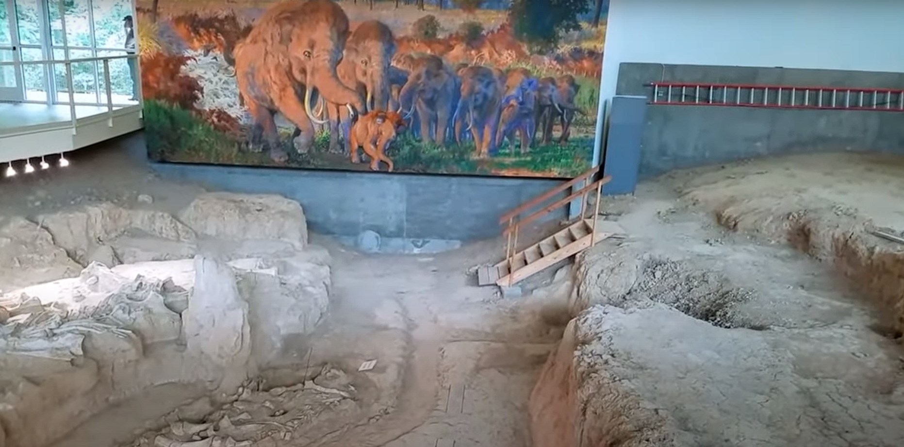 Frequently Asked Questions