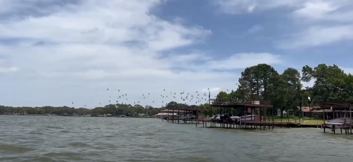 Homes with boat docks in Gun Barrel City, TX on Cedar Creek Lake
