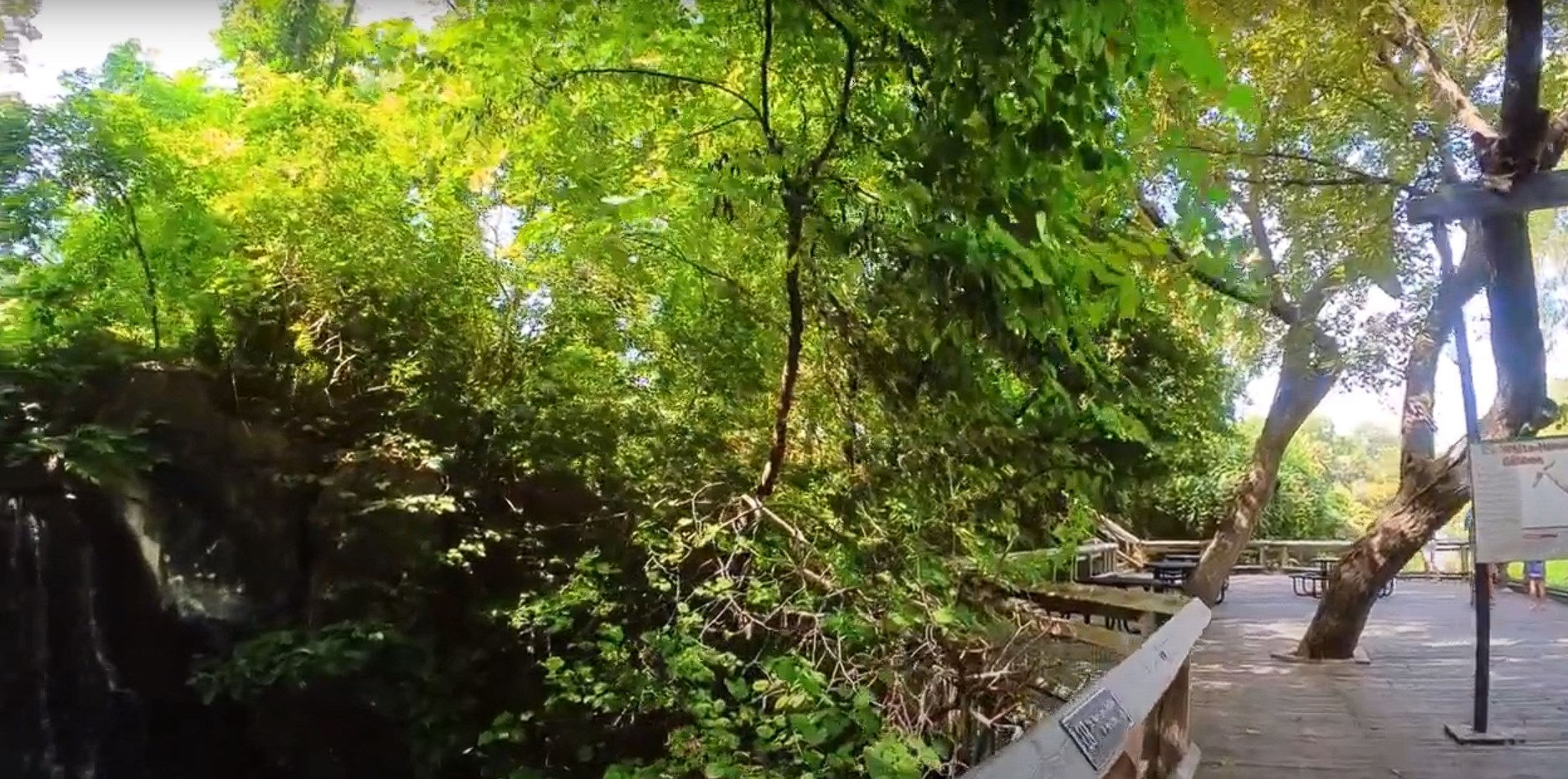Walkway through the trees at Cameron Park Zoo in Waco, TX