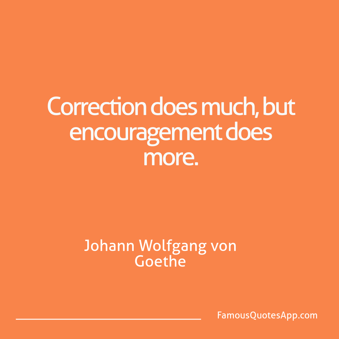 People Johann Wolfgang von Goethe Correction does much