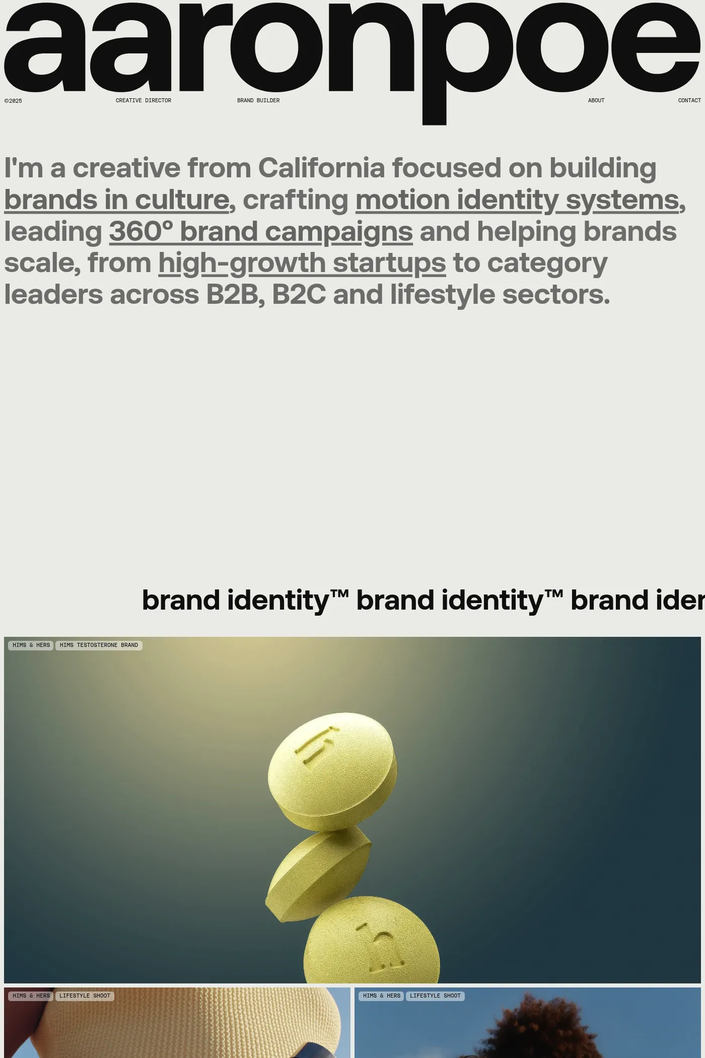 Aaron Poe website screenshot