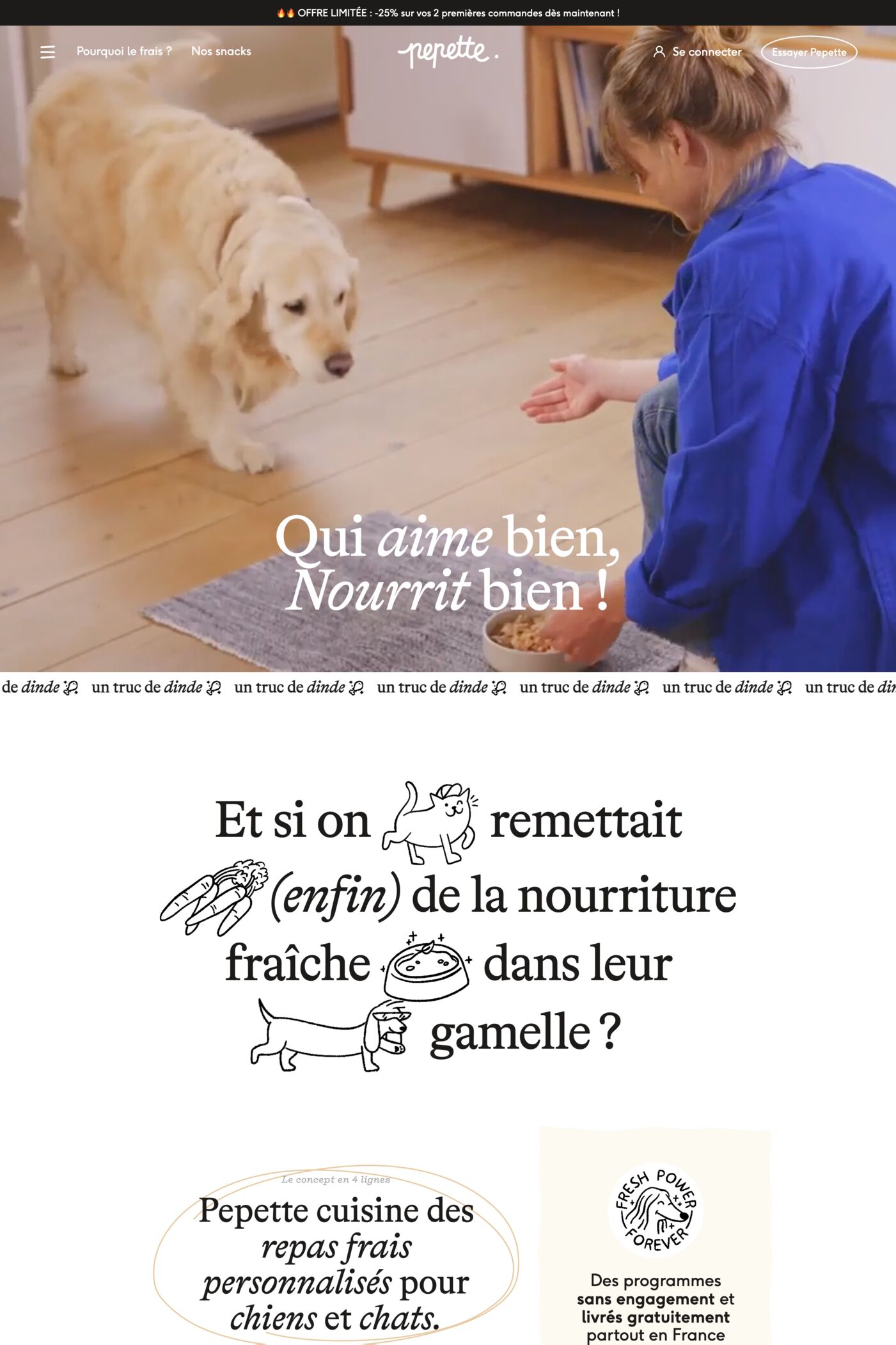 Pepette website screenshot