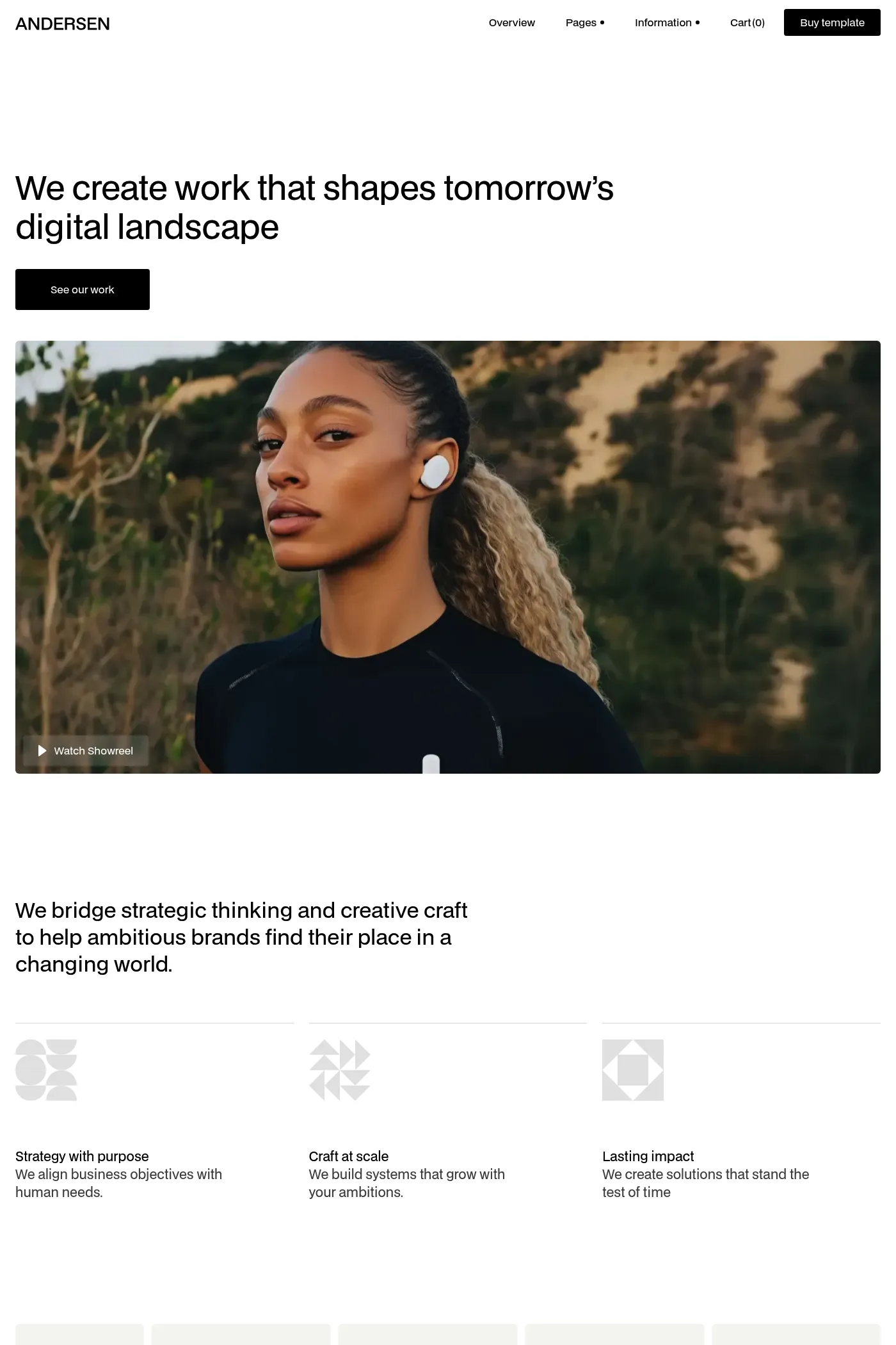 Andersen template screenshot