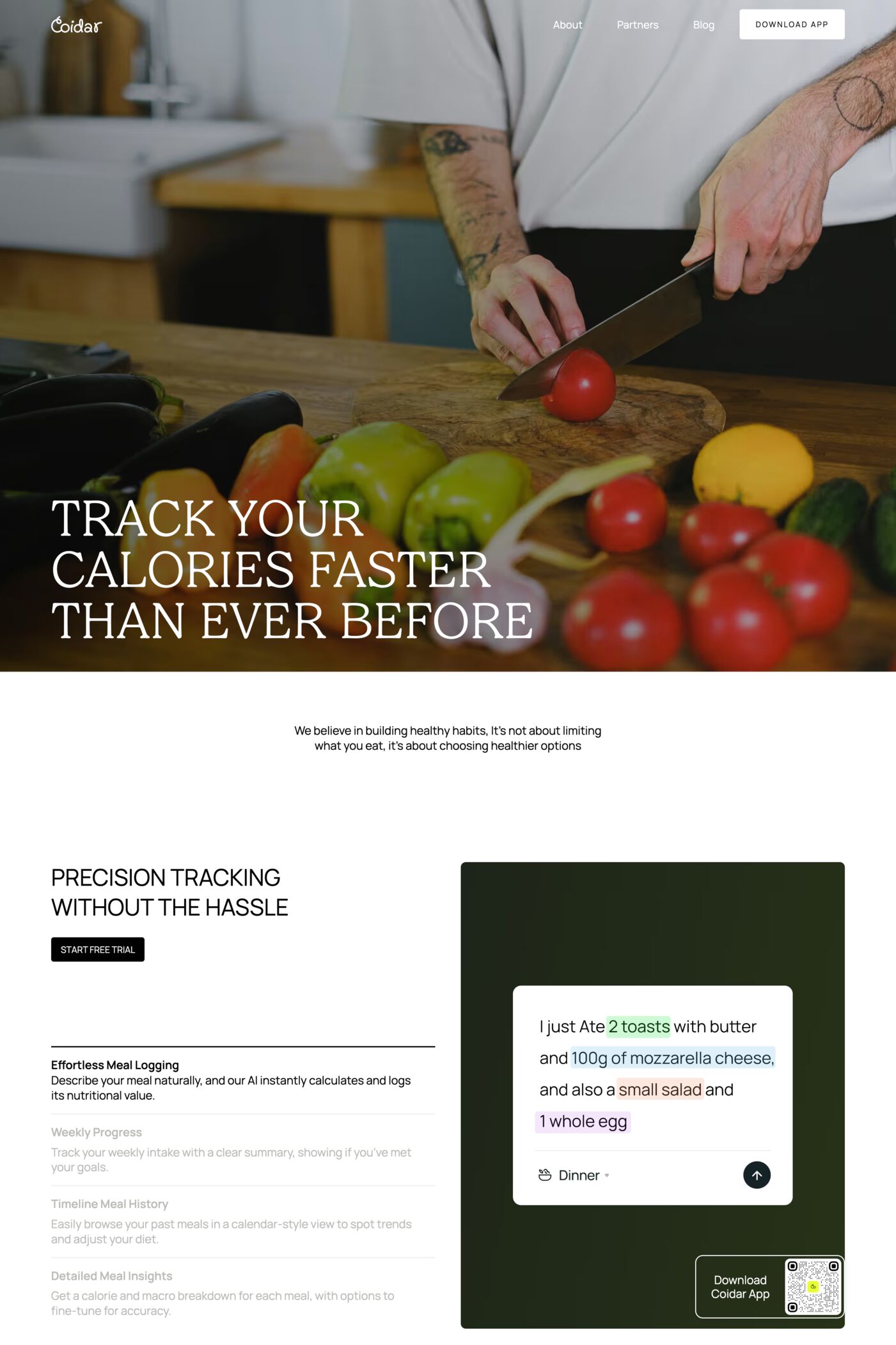 Coidar website screenshot