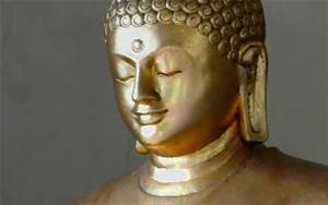 I wish to become a Licensed Practitioner