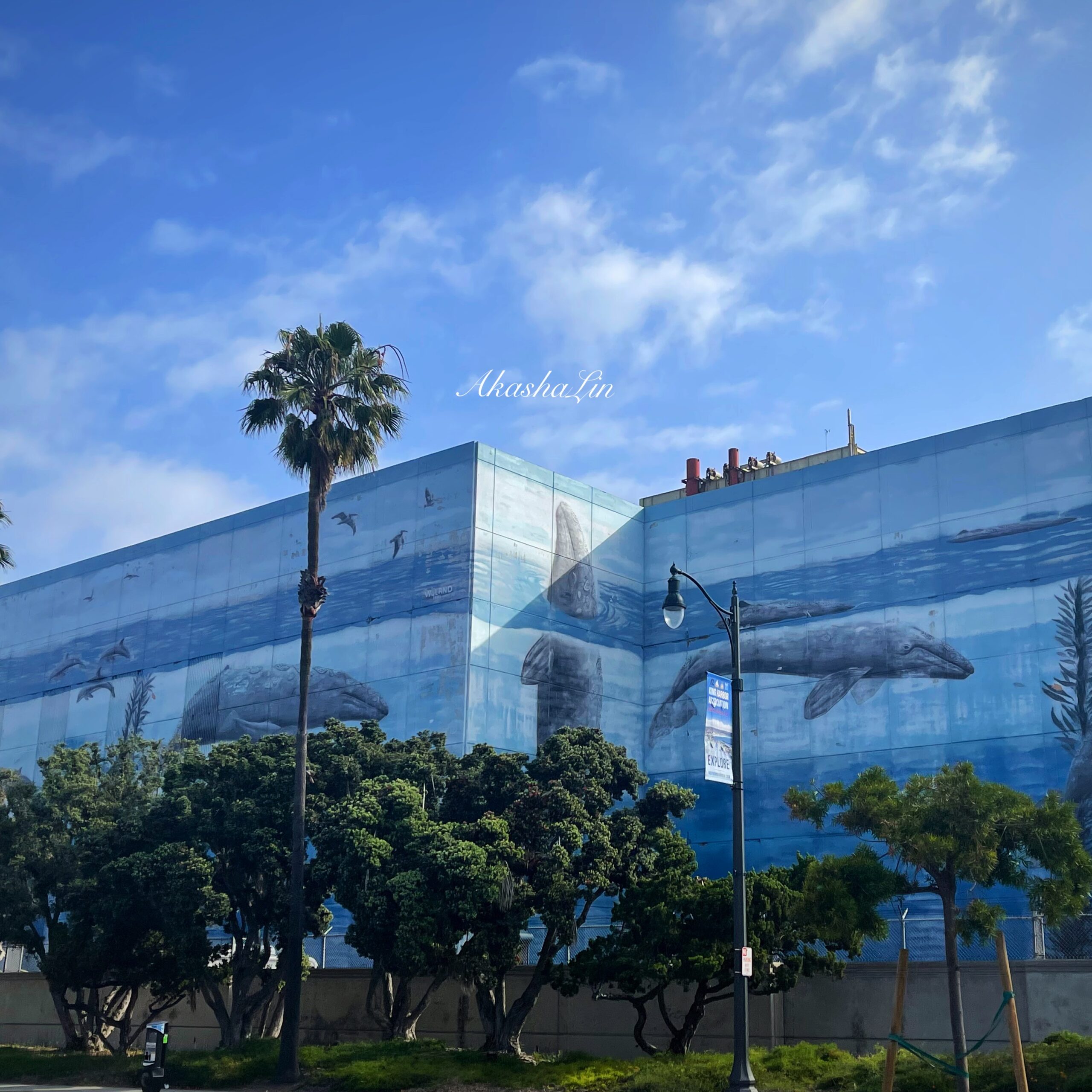 FE: Compliments + confetti