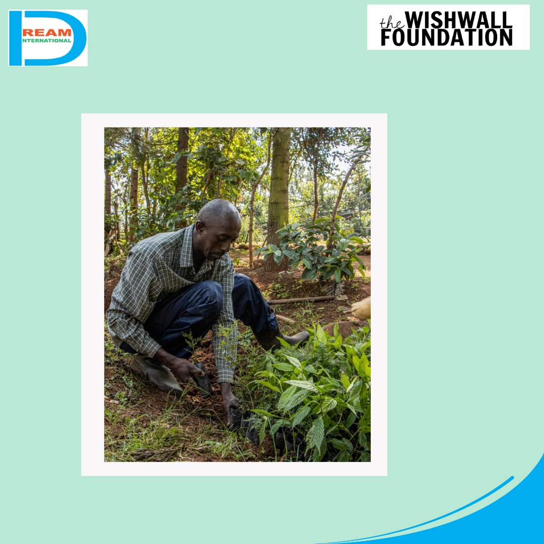 planting for biodiversity of landscapes in Rwenzori mountains