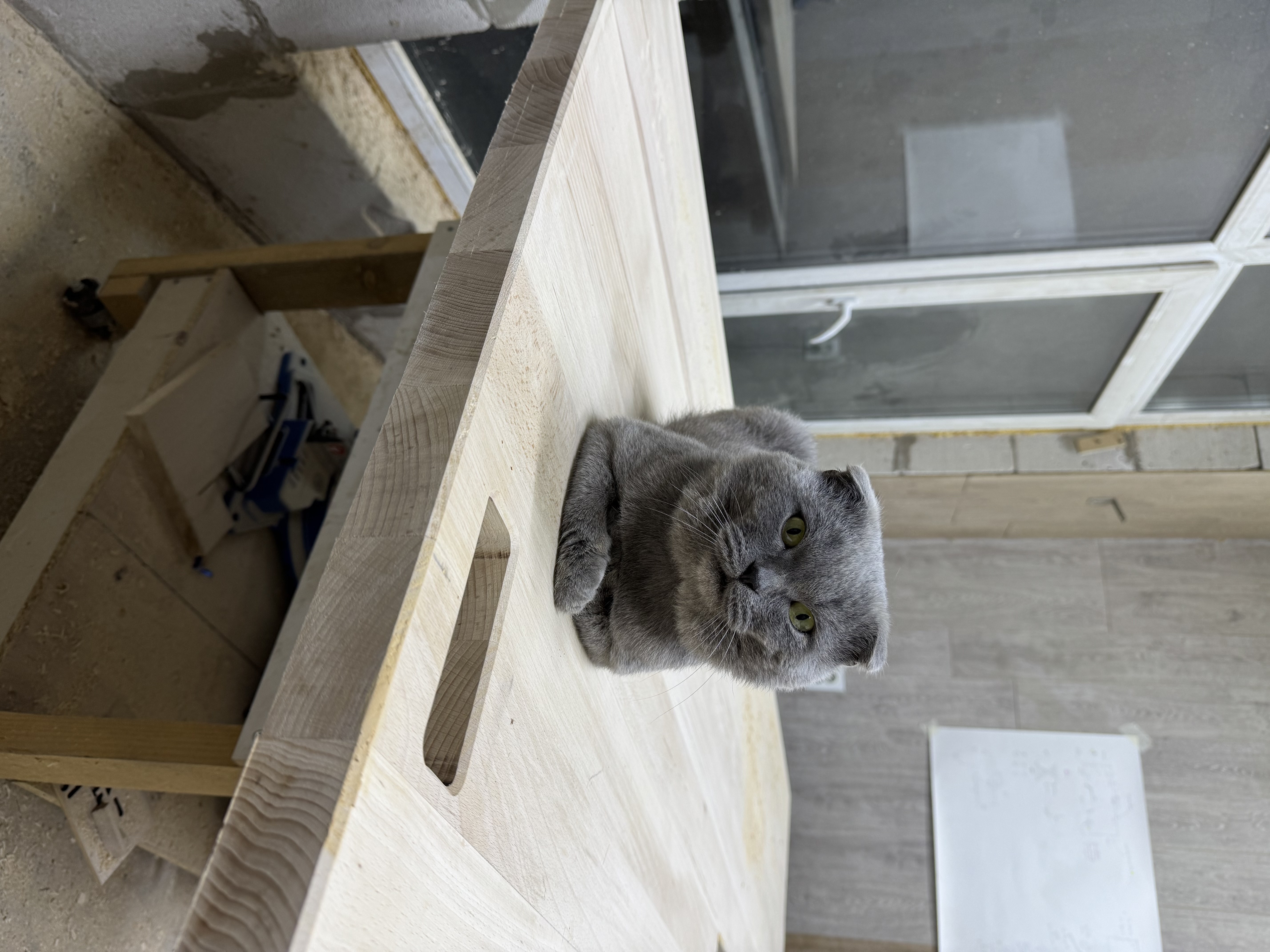 I Want to Create Smart Wooden Wonders!