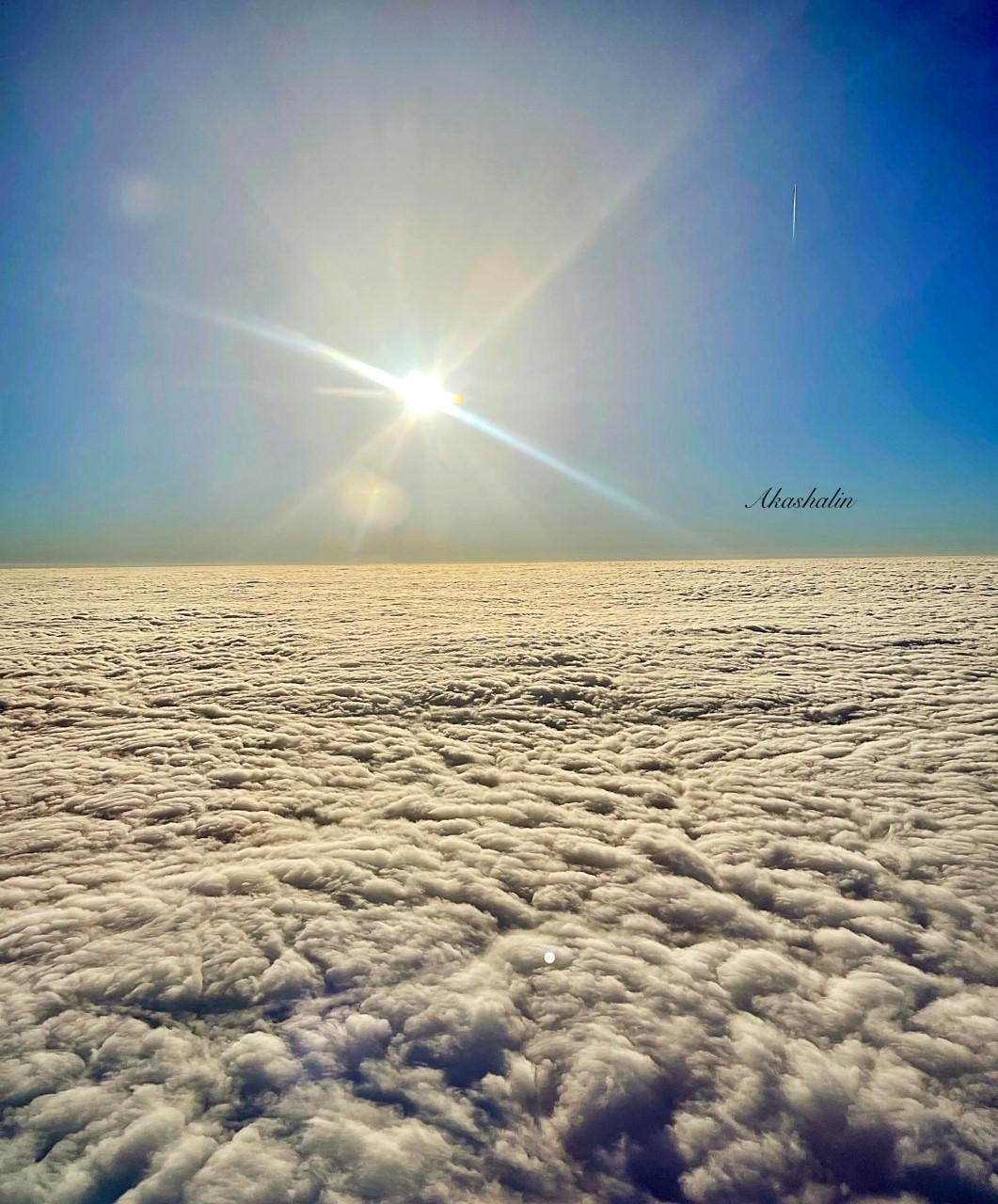 FE: The future of hotels is female