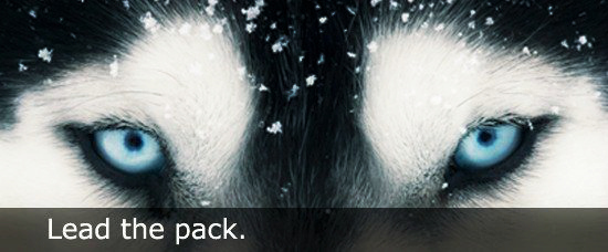 Future Entrepreneurs: Lead the Pack