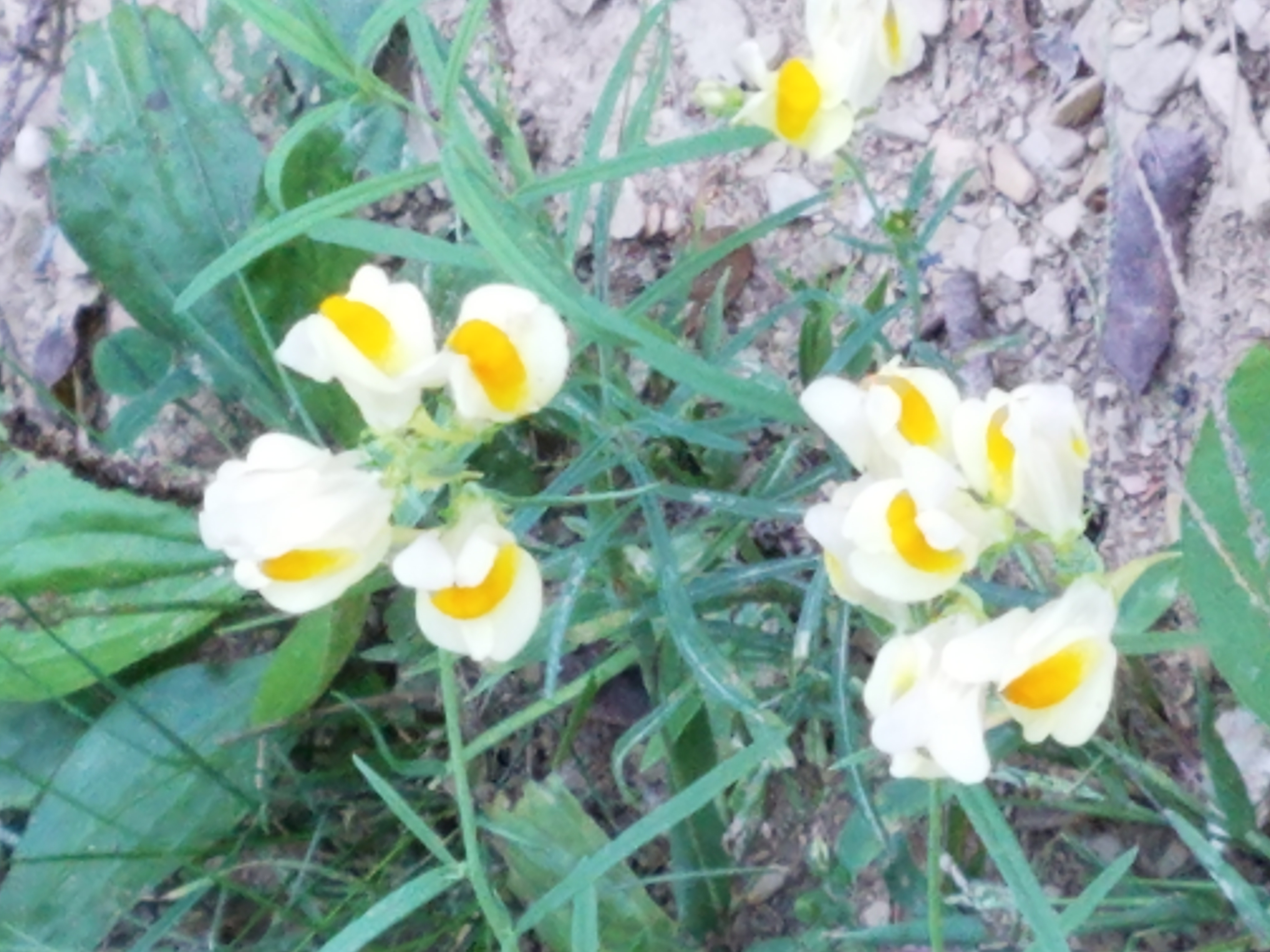 To Be Free From Homelessness While Health Declines