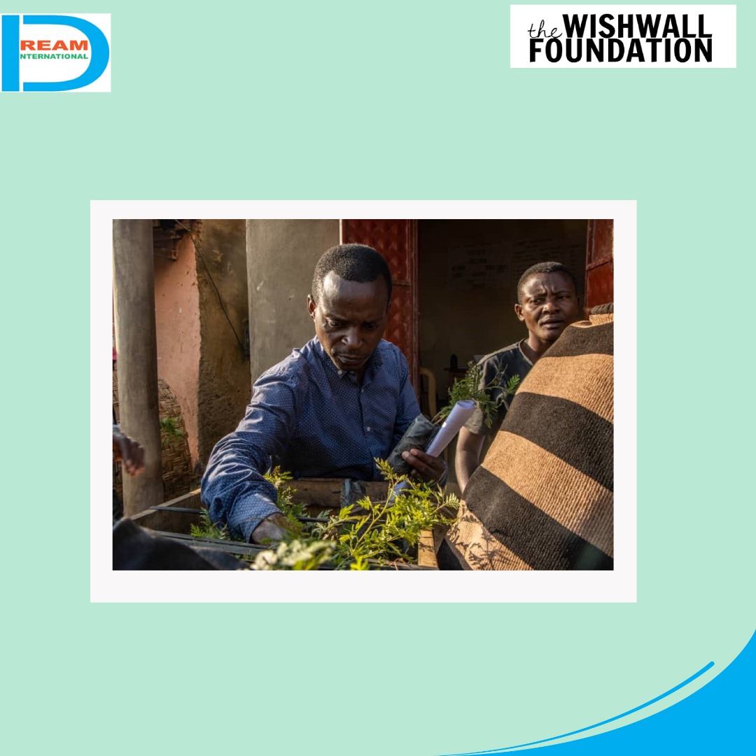 planting for biodiversity of landscapes in Rwenzori mountains