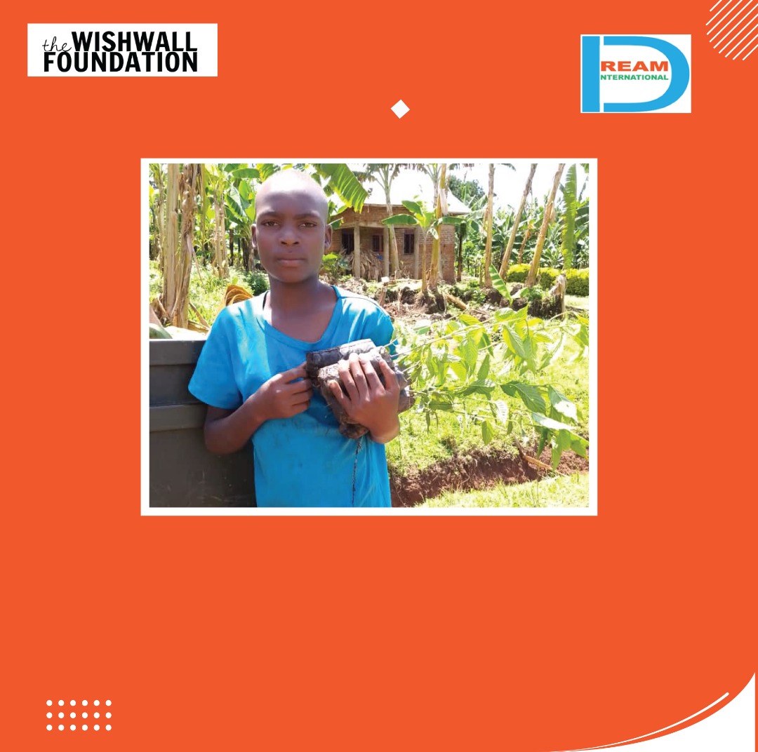 Planting for the restoration of landscapes in Rwenzori mountains