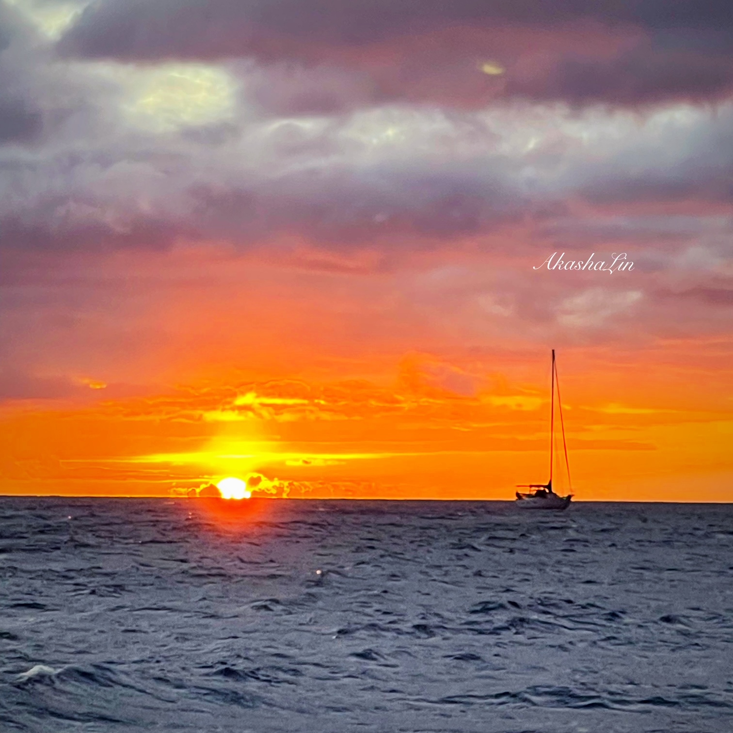 FE: MmmMaui Cookie Lady