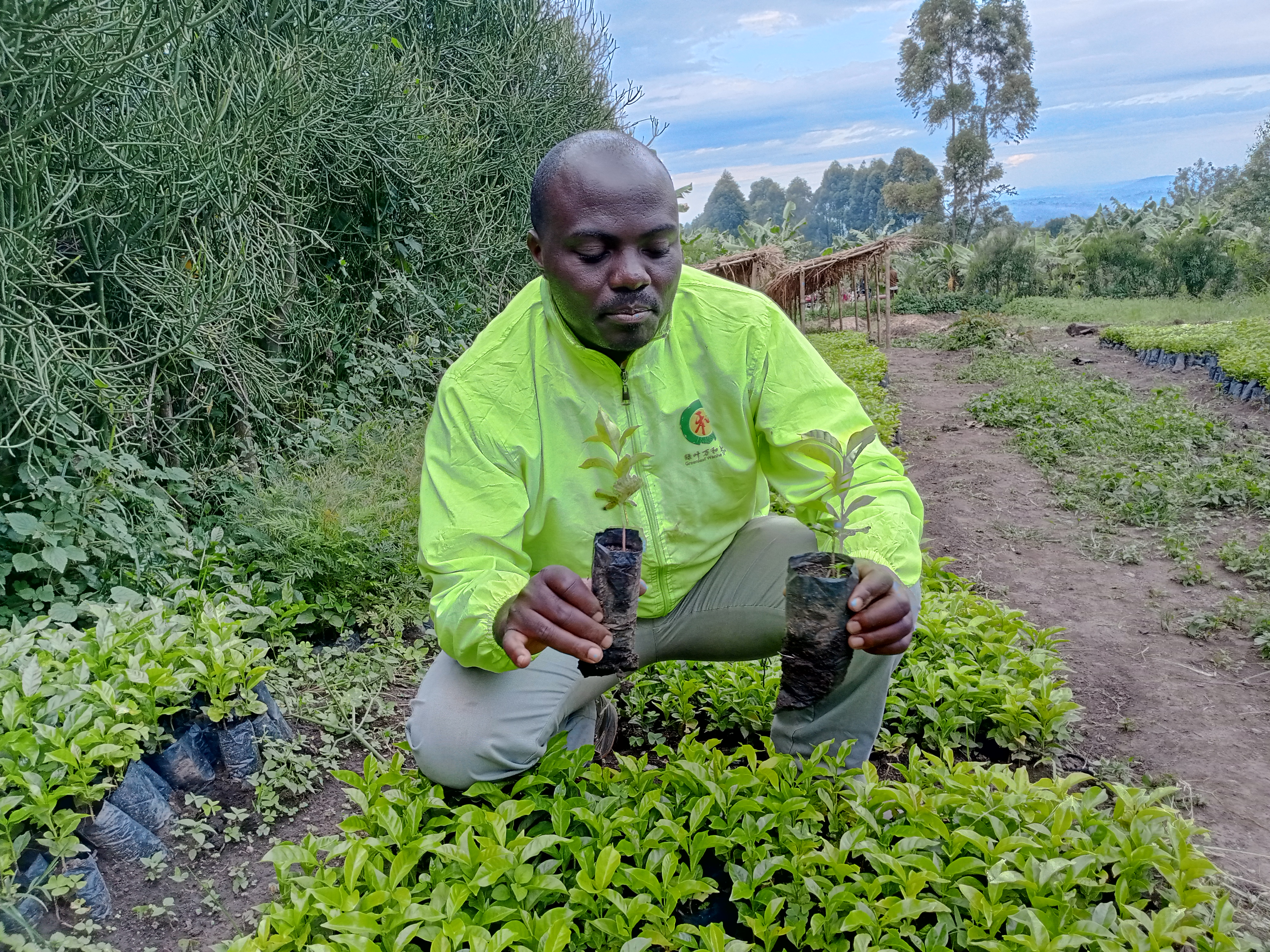 To embrace biodiversity in farming systems in uganda