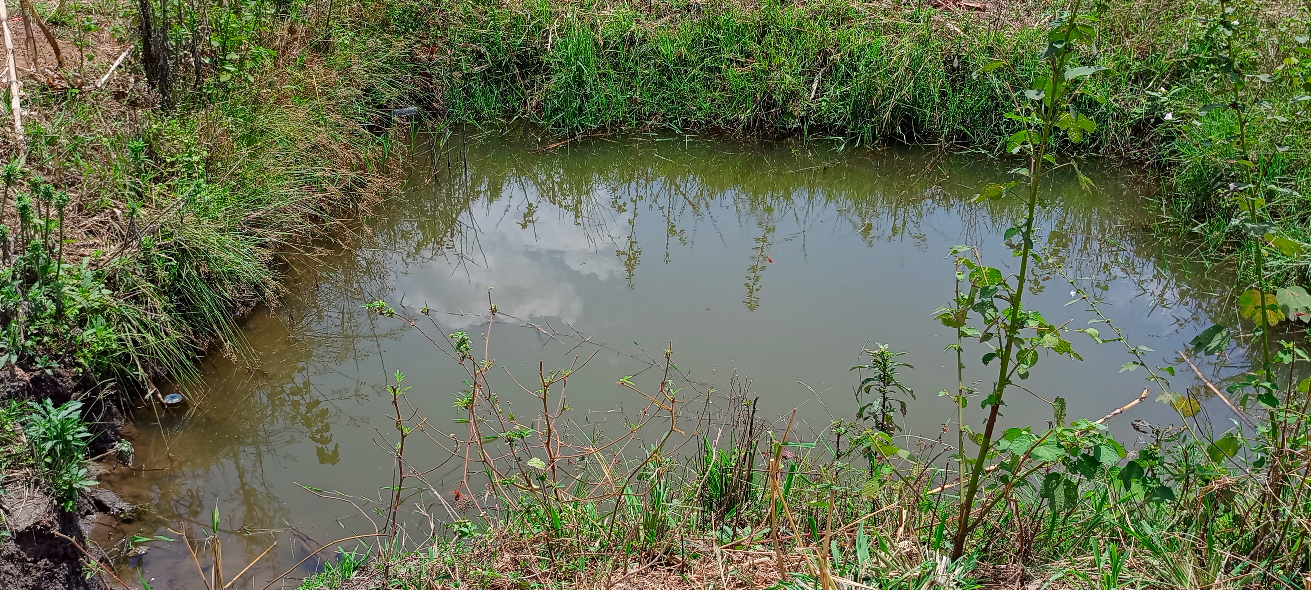 Renovating Farm and Community Spring Water Source.