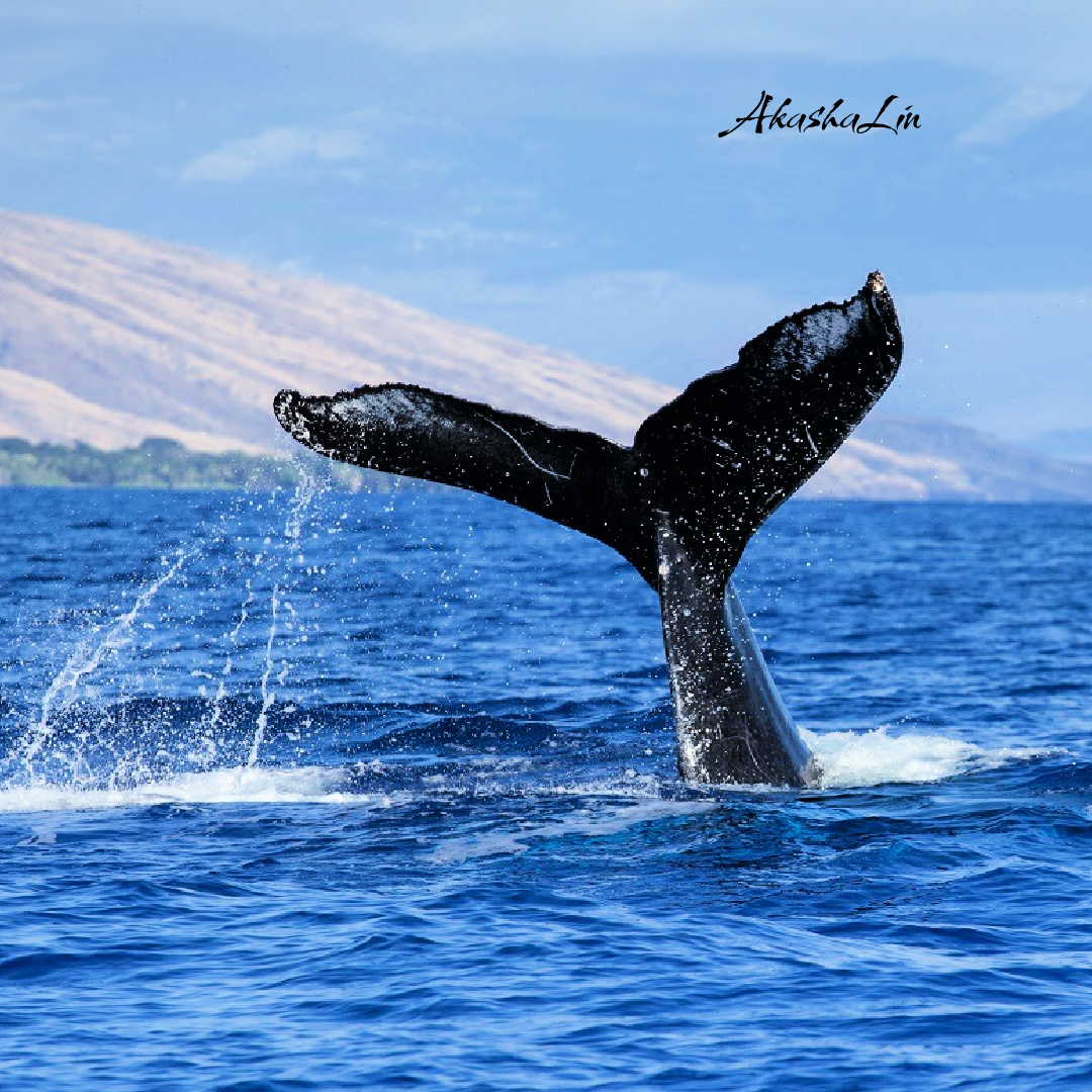 FE: Eyes on the Prize