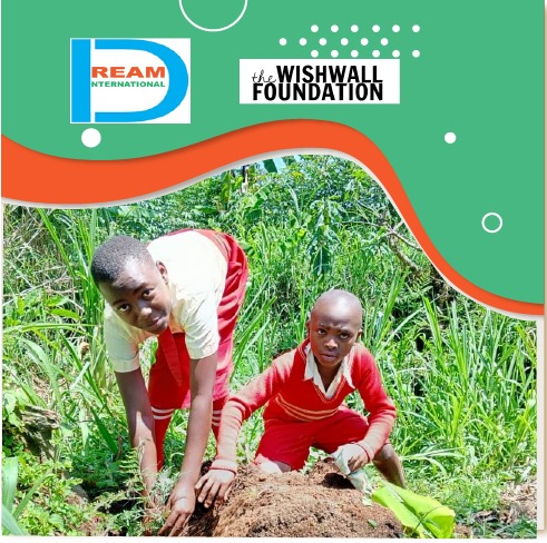 planting for biodiversity of landscapes in Rwenzori mountains