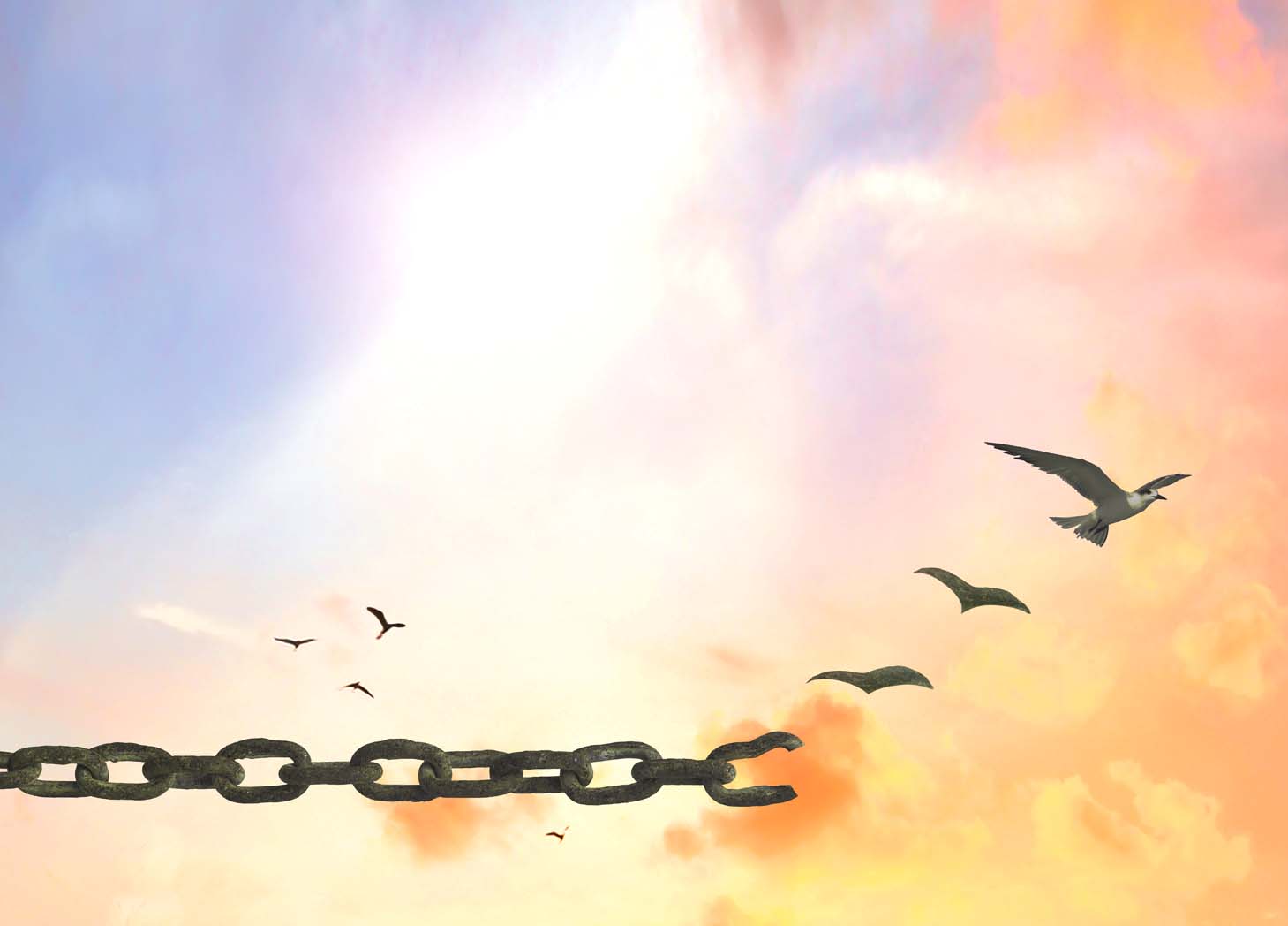 Girls, go away from silence and become free!