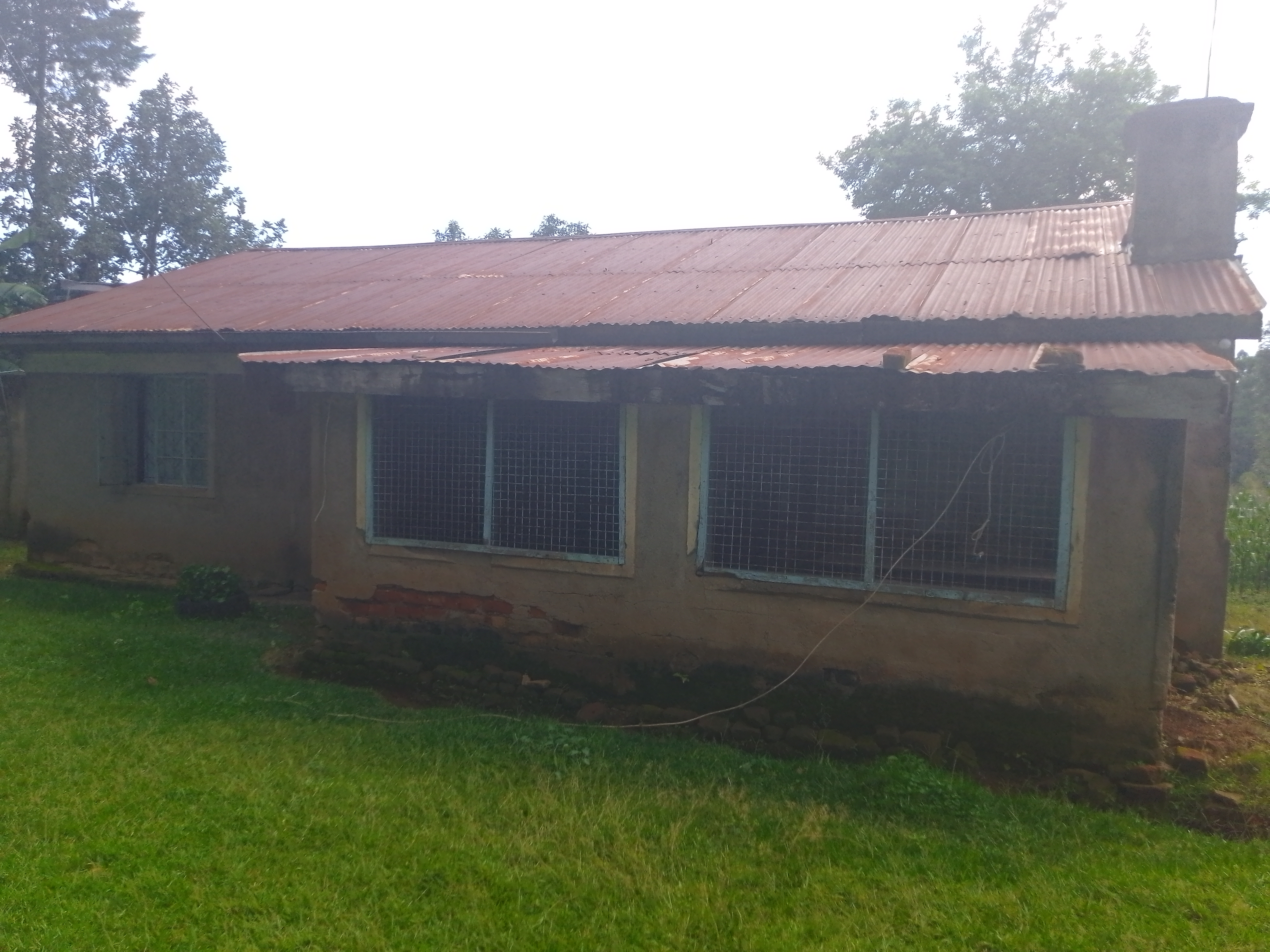 Need to Open a business that can uplift my community