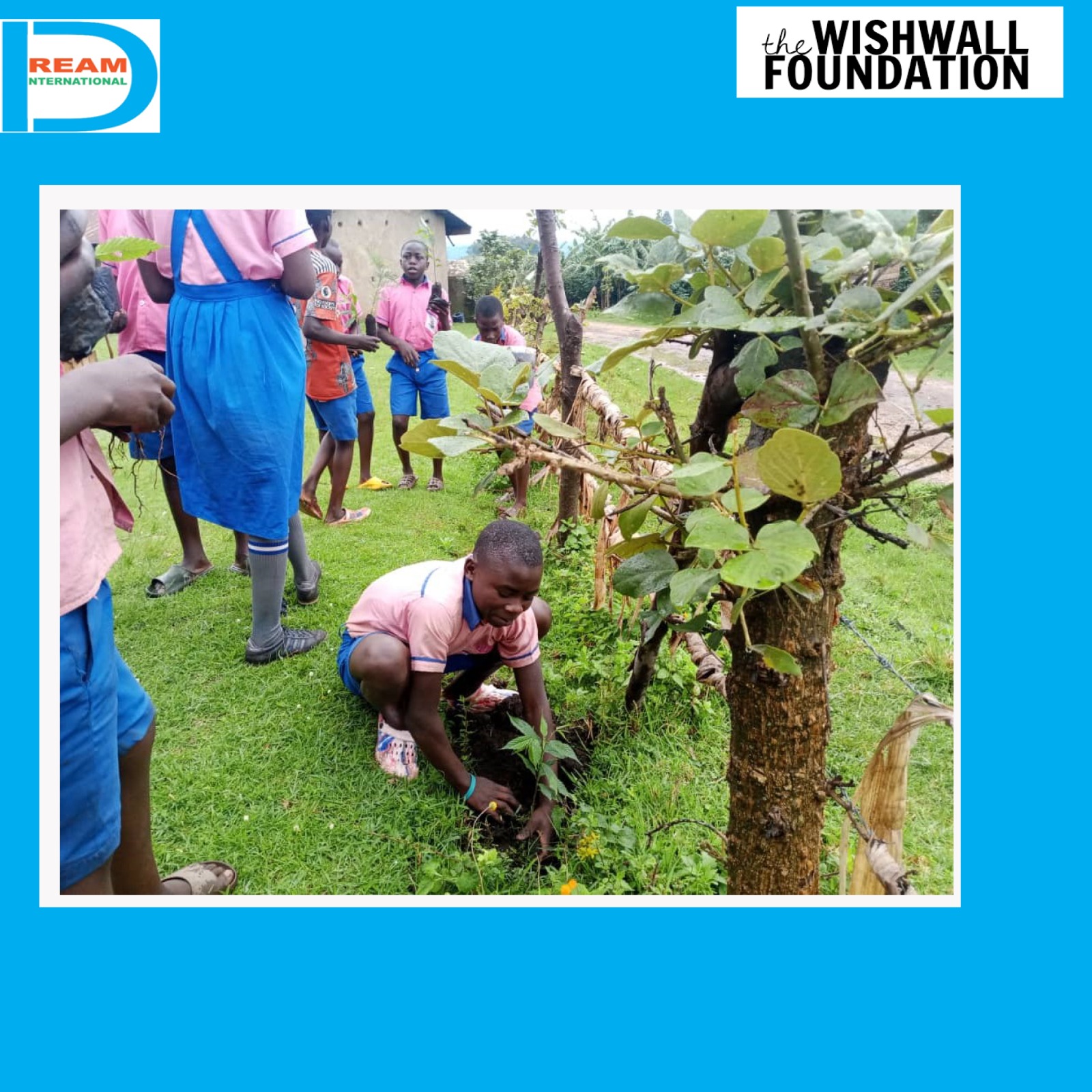 planting for biodiversity of landscapes in Rwenzori mountains