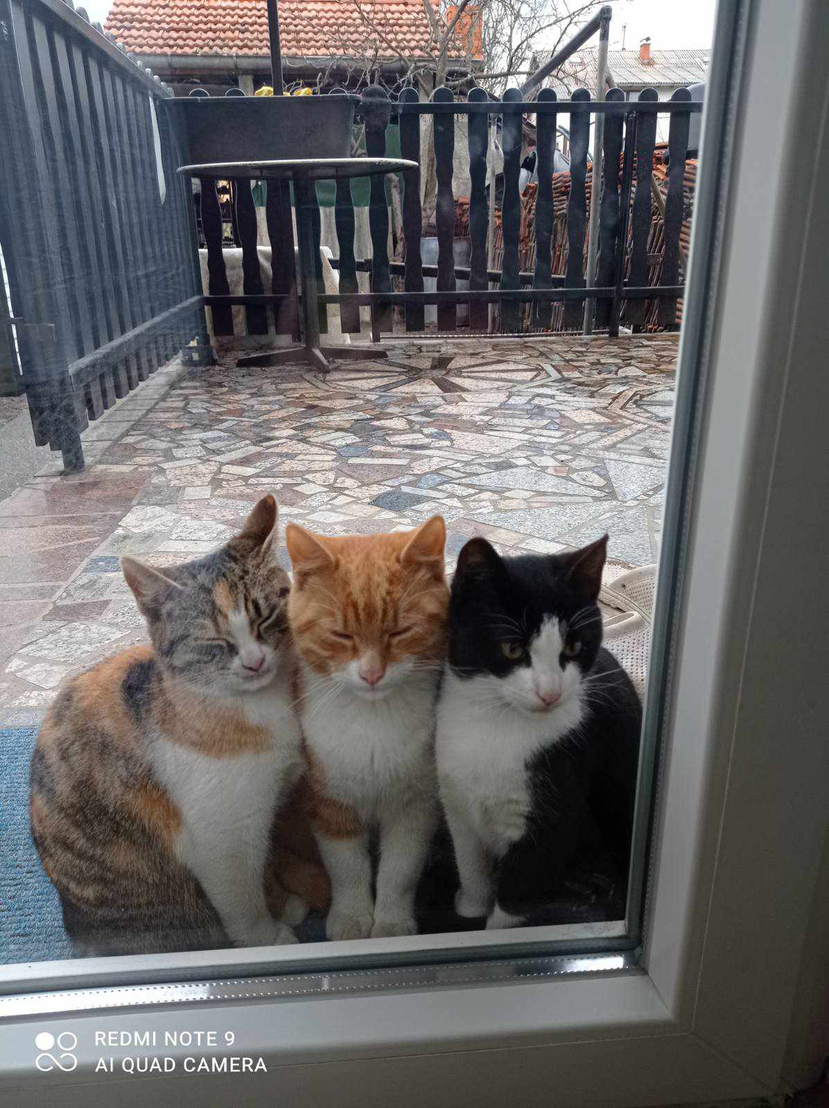 I want to change their world