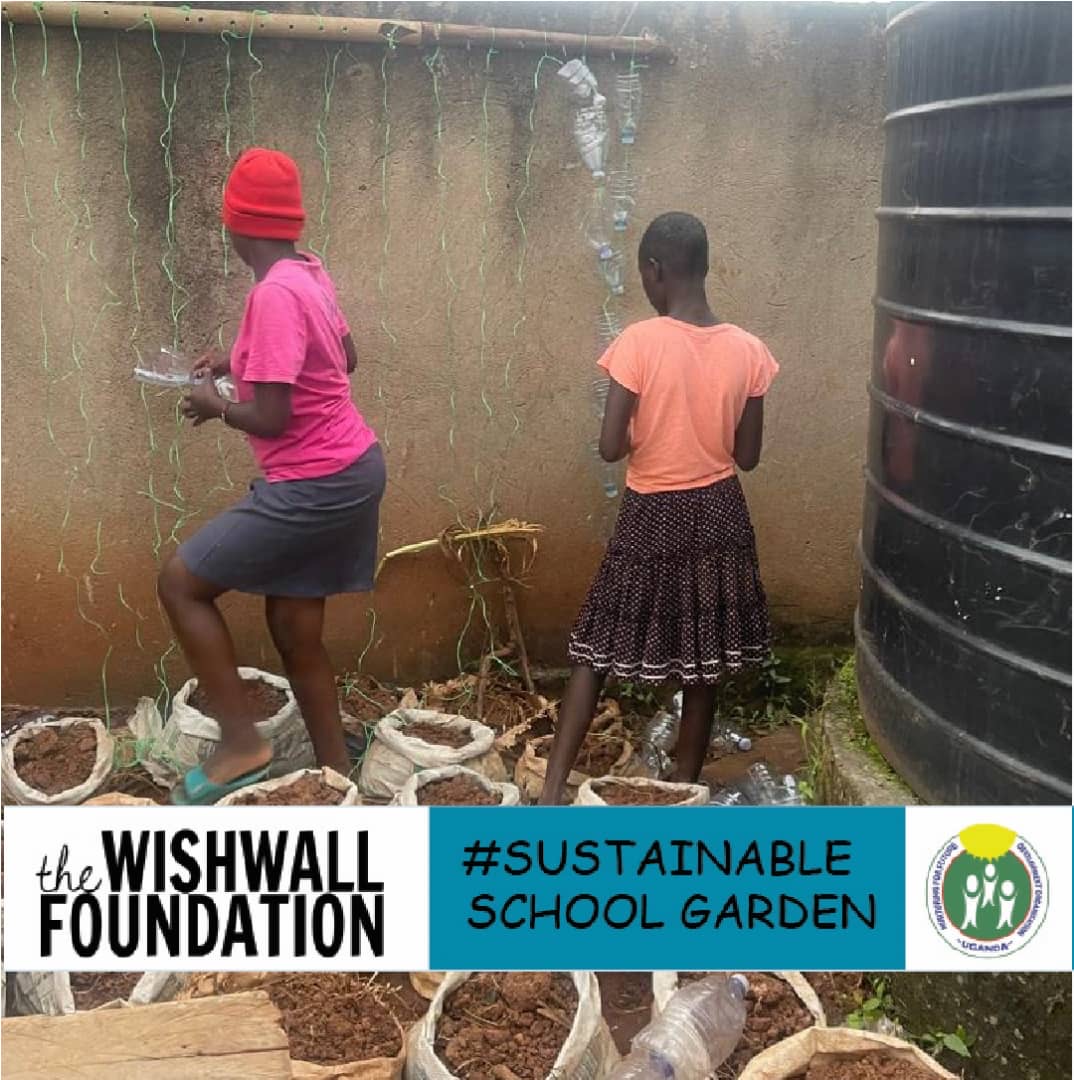 Sustainable school garden