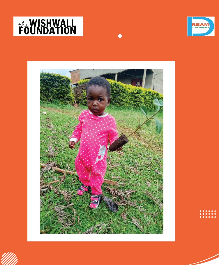 Planting for the restoration of landscapes in Rwenzori mountains