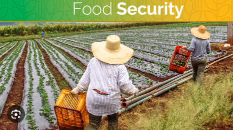 Global Food Security for All
