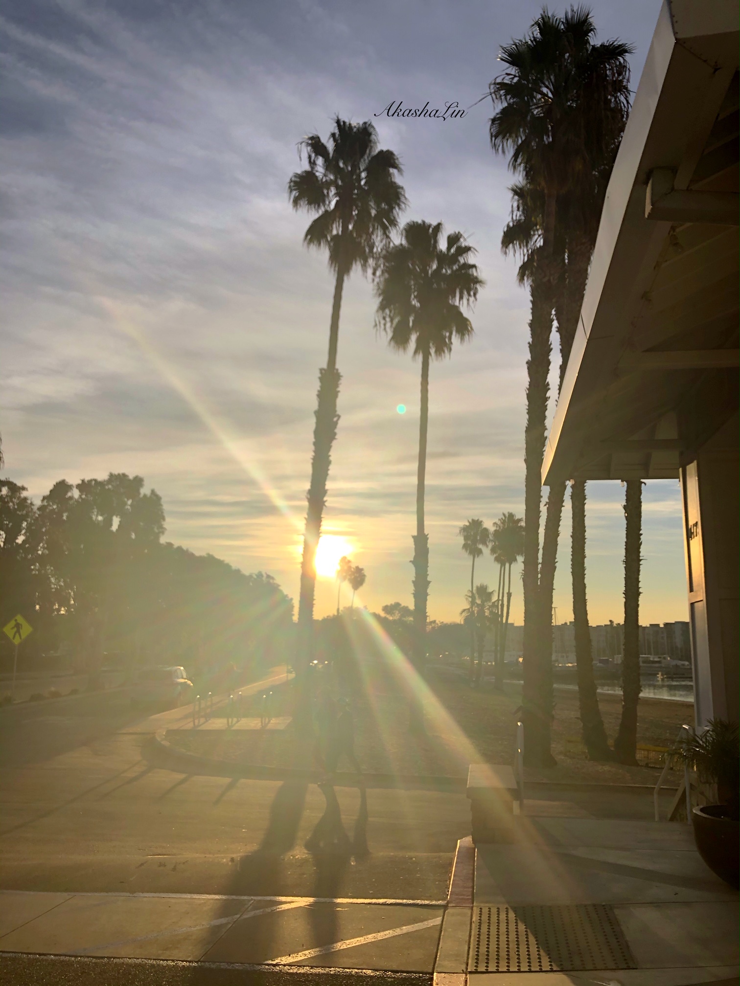 FE: Me Too Shines Through