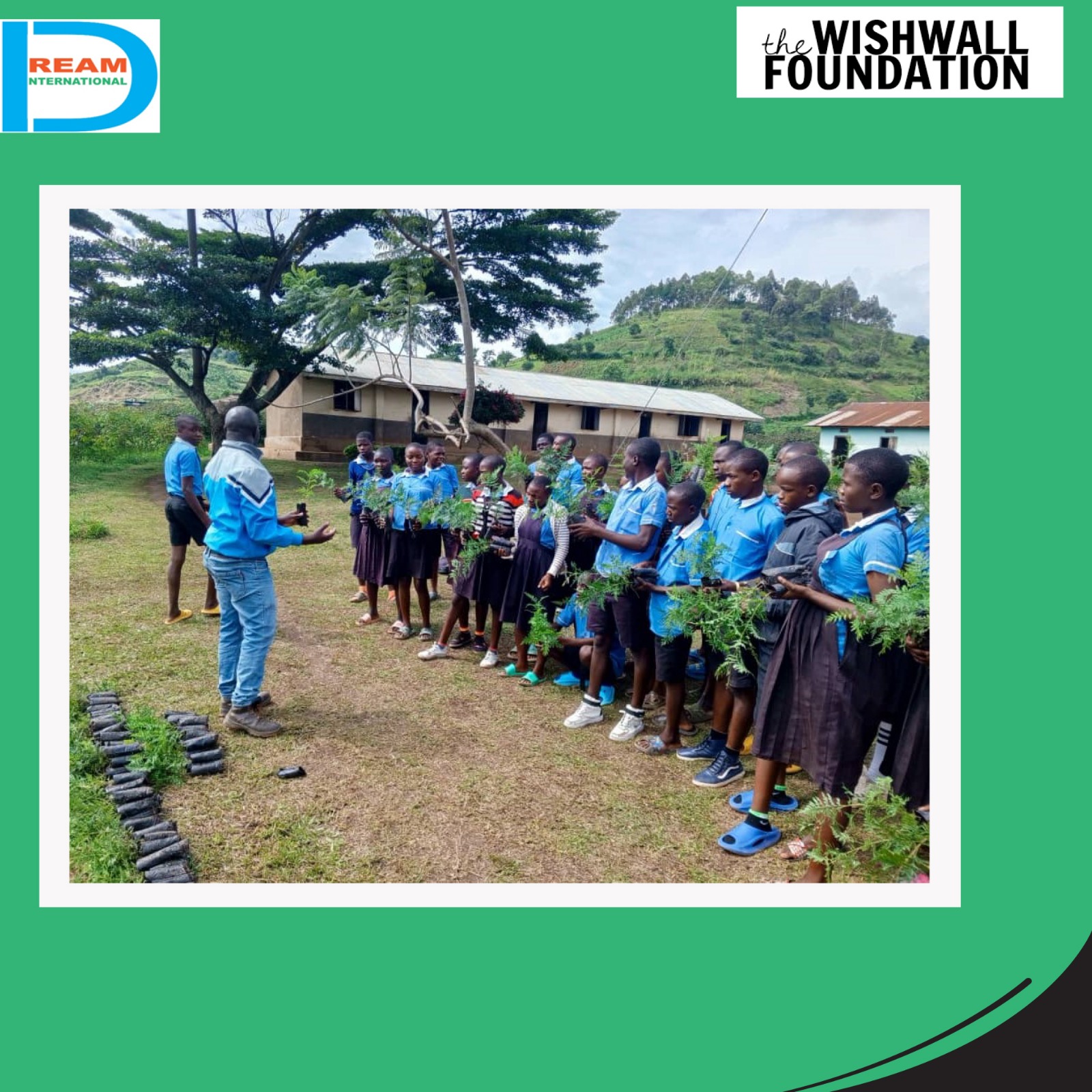 planting for biodiversity of landscapes in Rwenzori mountains