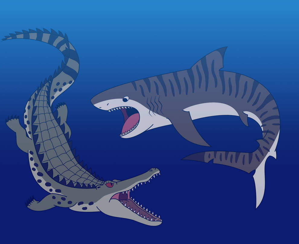 an endless ocean battle