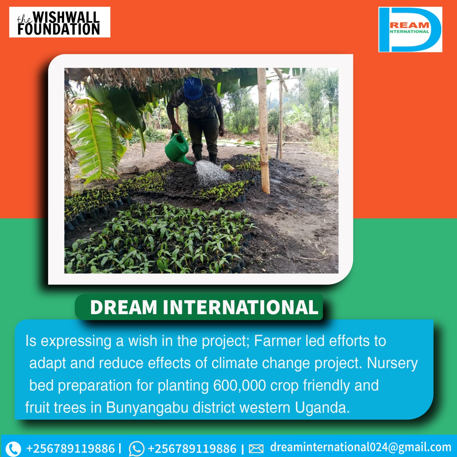 planting for biodiversity of landscapes in Rwenzori mountains