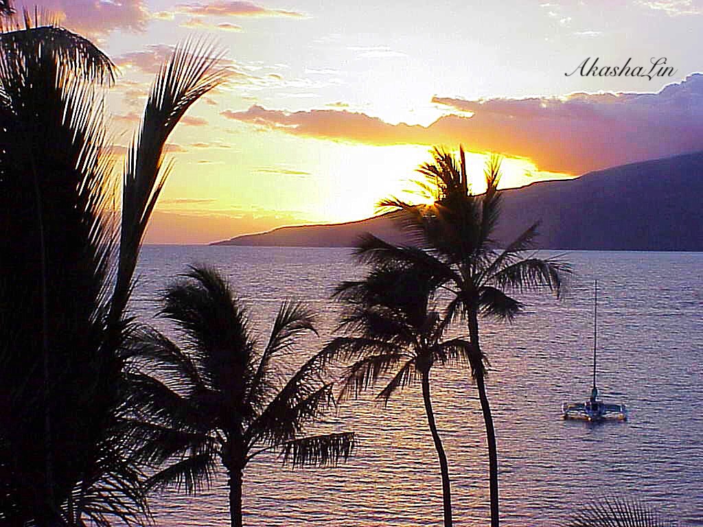 Shine Through in any Season