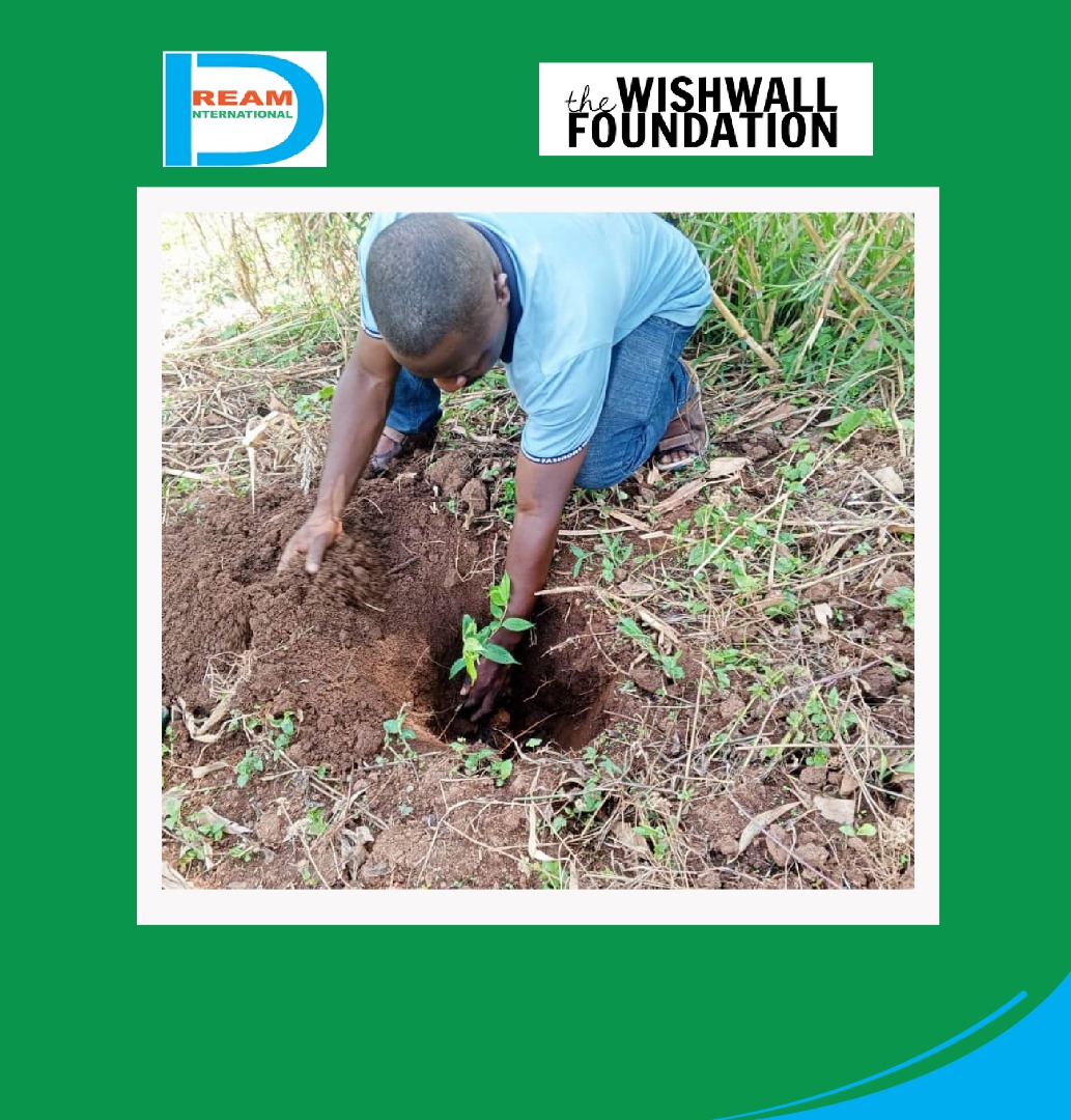 planting for biodiversity of landscapes in Rwenzori mountains