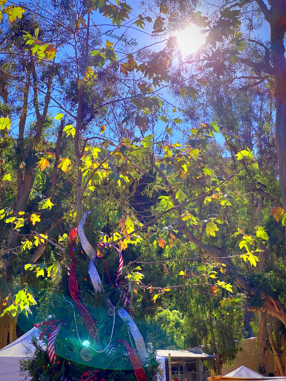 FE: Bubbles + blessings