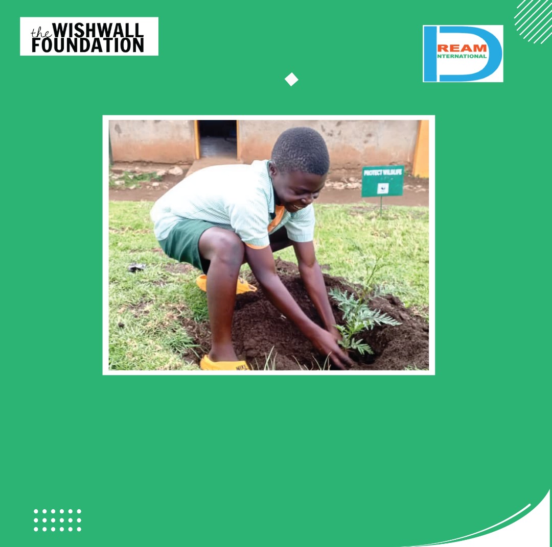 Planting for the restoration of landscapes in Rwenzori mountains