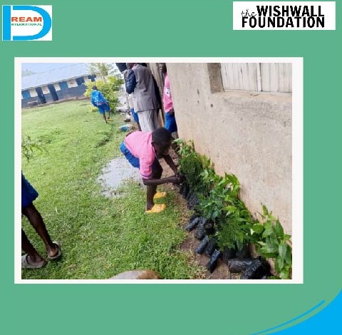 planting for biodiversity of landscapes in Rwenzori mountains