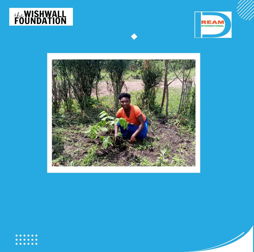 planting for biodiversity of landscapes in Rwenzori mountains