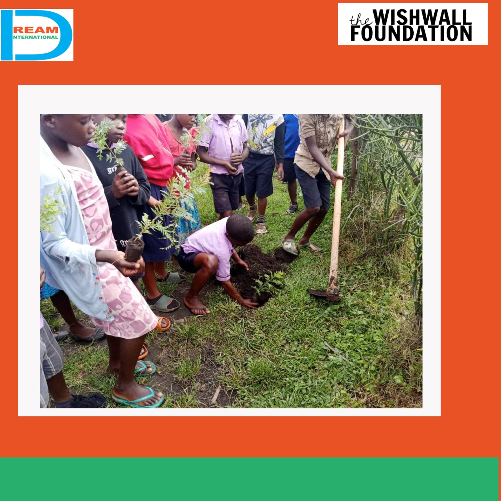 planting for biodiversity of landscapes in Rwenzori mountains